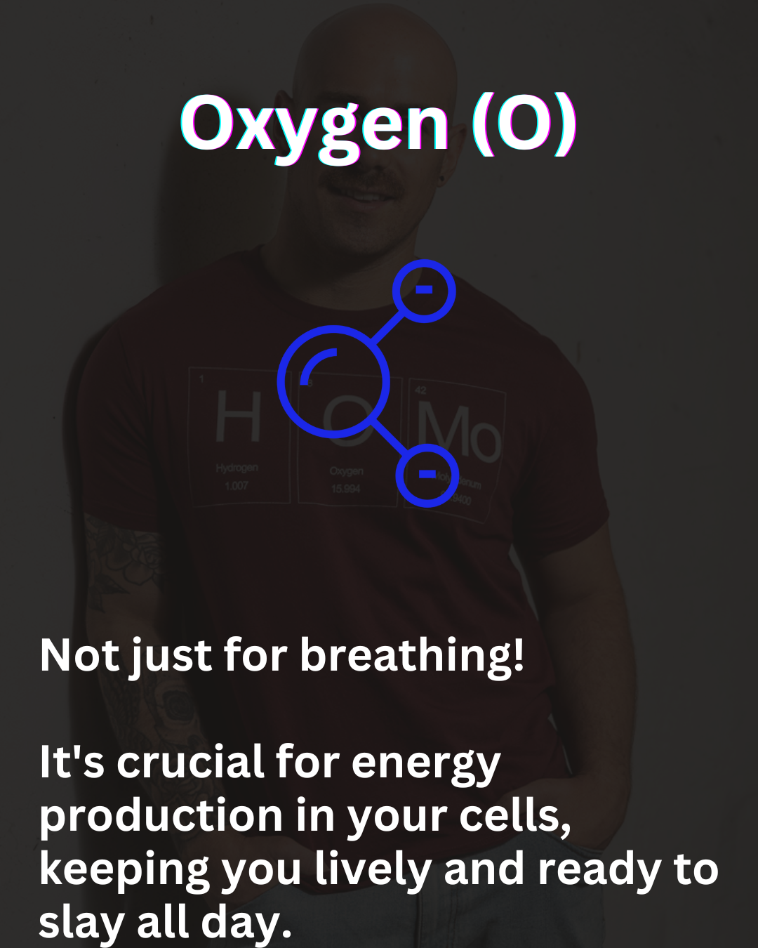 HOMo Periodic Table Organic Cotton T-Shirt