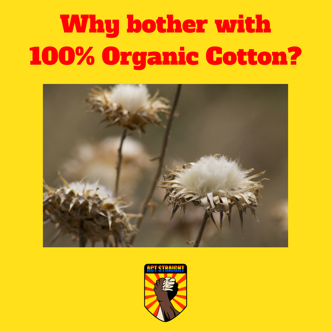 Why we Bother with Organic Cotton