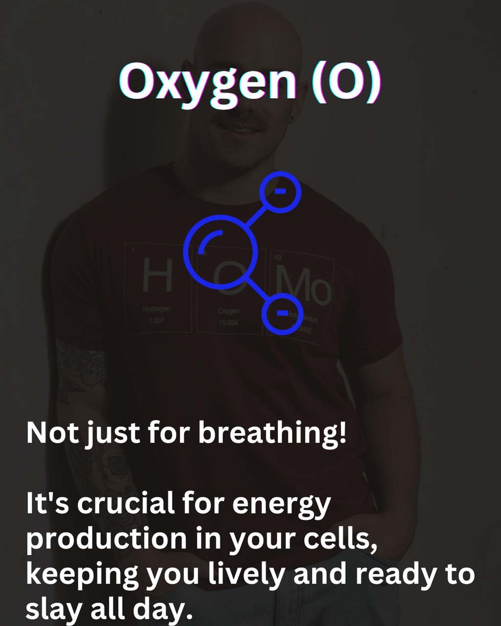 HOMo Periodic Table Organic Cotton T-Shirt